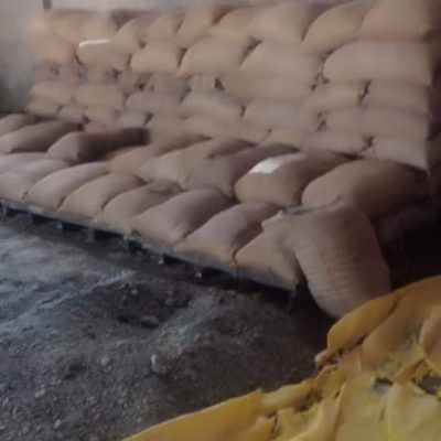 Water Affected Grain